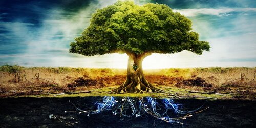 L'arbre du monde chez les celtes