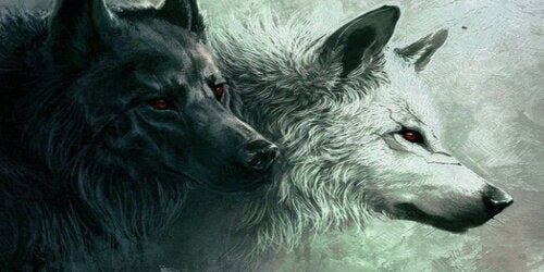 El lobo, devorador de estrellas.